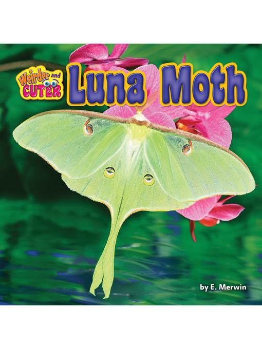 Title details for Luna Moth by E. Merwin - Available